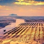 Manuel Saavedra avatar