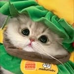 Monserrat Peña avatar